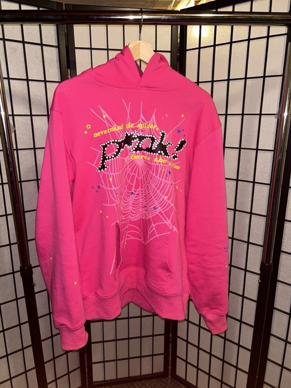 Pink Graphic Spiderweb Hoodie